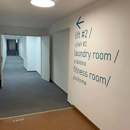 Friendly Small Flat For Nomads
